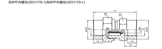 RHDI 单向阀 英制内螺纹-2.jpg