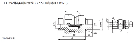 RHV-R-ED 单向阀 英制外螺纹-ED密封-2.jpg